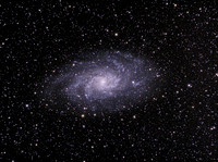 The Triangulum Galaxy (M33)