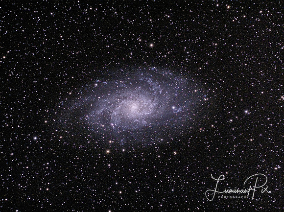 The Triangulum Galaxy (M33)