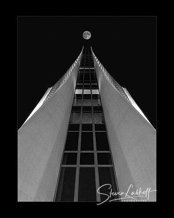 P7191024-Moonraker Labkoff.jpg