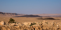 DSC_7620.jpg
