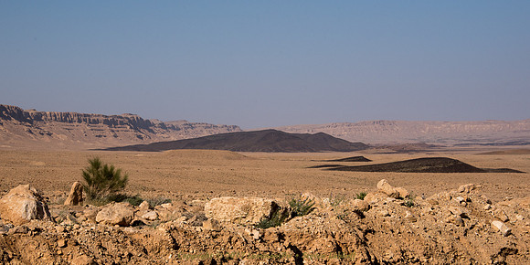 DSC_7620.jpg