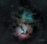 The Triffid Nebula (Sagittarius)