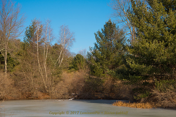 Frozen Solid